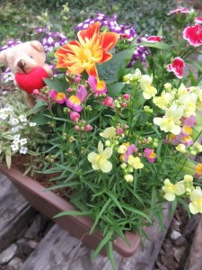 18009769_1308963579181705_19290261_n