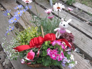 18012817_1308963559181707_207715707_o