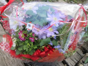 18015921_1309939439084119_1513470708_o