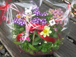 18052022_1309937555750974_1355477258_o