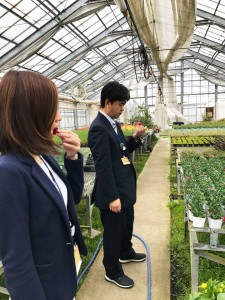 18056965_790036584480939_3526911197188526254_n