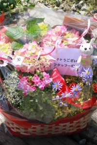 18109771_1316750685069661_927823298_n