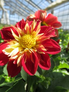 18119277_1315073215237408_2181571180378031466_n