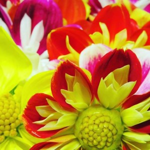 18119490_1315060015238728_7363342606070837394_n