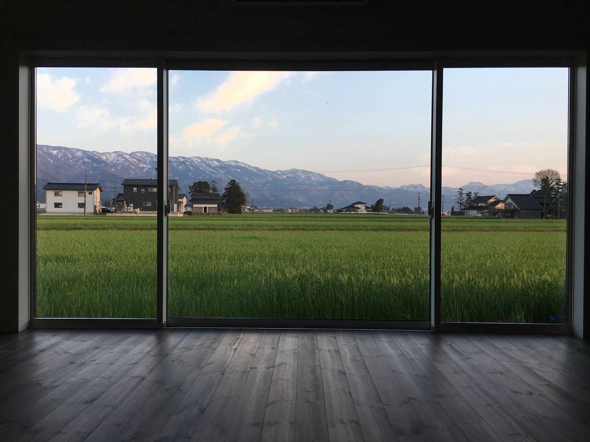 「CAN」のメンバーでお祝いのお花