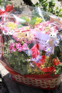 18142805_1316750691736327_1006733738_n