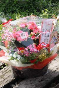 18155700_1319039444840785_111861992_n