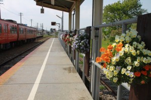 18156735_1320290051382391_8254292105318517299_o