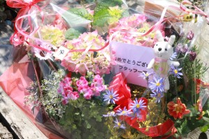 18175840_1316750678402995_1985751339_o