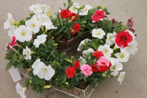 18192652_1320234884721241_5258528327297649784_o