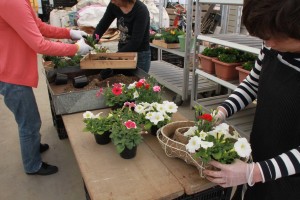 18193001_1320234421387954_6366122247886590751_o