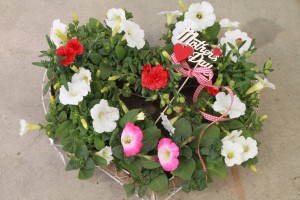 18193184_1320234521387944_5706070572537769926_o