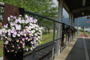 18193375_1320289874715742_4505890858646804864_o