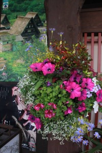 18197752_1321262804618449_312758444_n