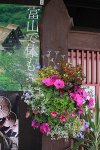 18217355_1321262797951783_1696332259_n