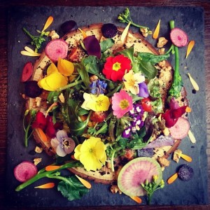 17554241_2268464543379614_7234084533934087104_n - コピー