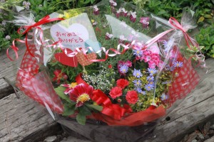 15556474_1329419033802826_303731639_o