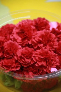 18192668_1837502416576015_1949626964995713010_o