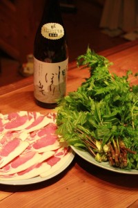 18254116_1323919657686097_35491317_n