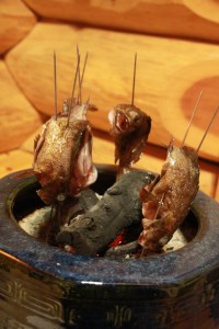 18280120_1323920981019298_21342200_n