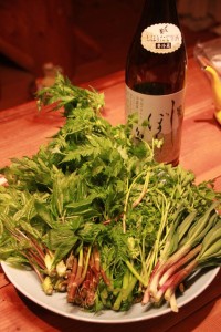 18280790_1323919647686098_774417156_n