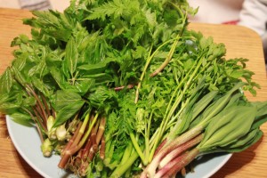 18289874_1323920427686020_876480045_o