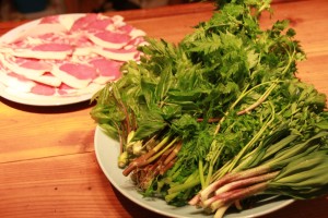 18289891_1323919674352762_59151287_o