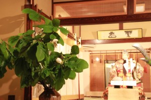 18318912_1325352220876174_850631175_o