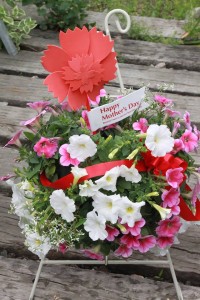 18361336_1329419023802827_1461967523_n