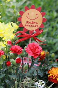 18386645_1329419020469494_1140919917_n