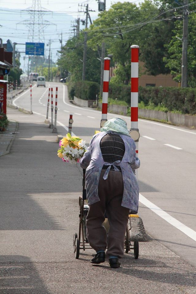 庭先の綺麗なお花の行方