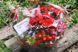 18426724_1332125233532206_18430536_o