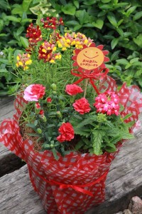 18448083_1332125216865541_2126571762_n