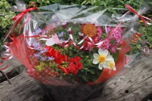 18452681_1332125240198872_30498235_o