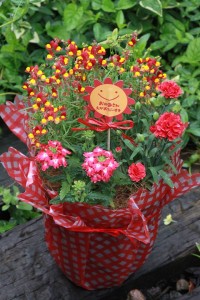 18470726_1333006693444060_2143362136_n