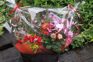 18471974_1333008776777185_352810898_o