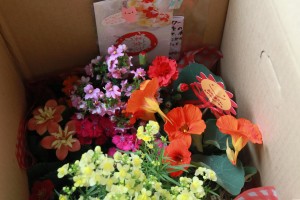 18472719_1333010176777045_721543332_o