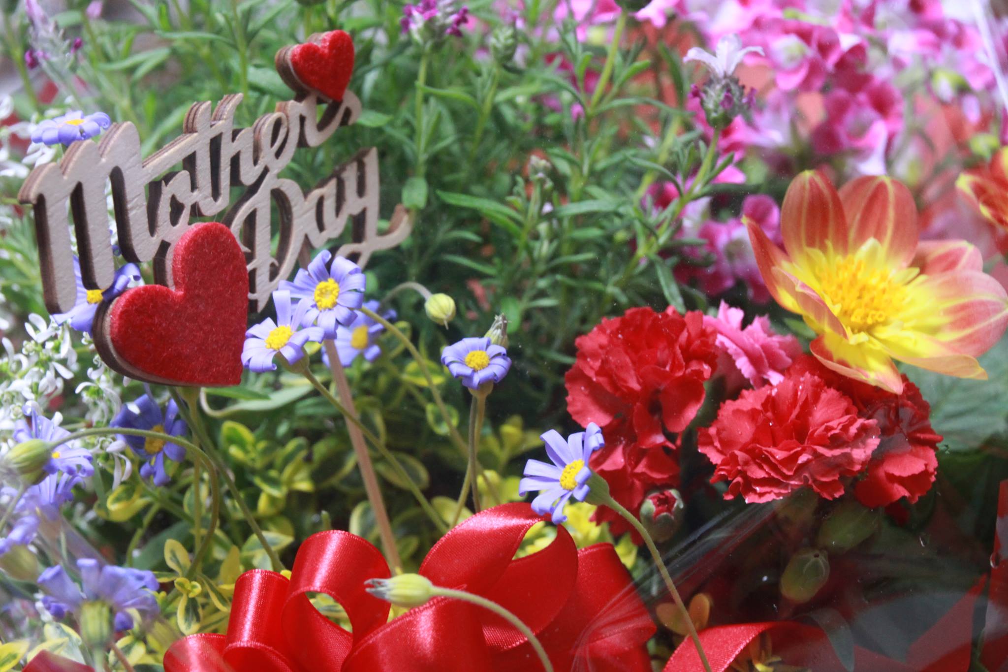 (笑)まだまだ続くよ母の日ギフト