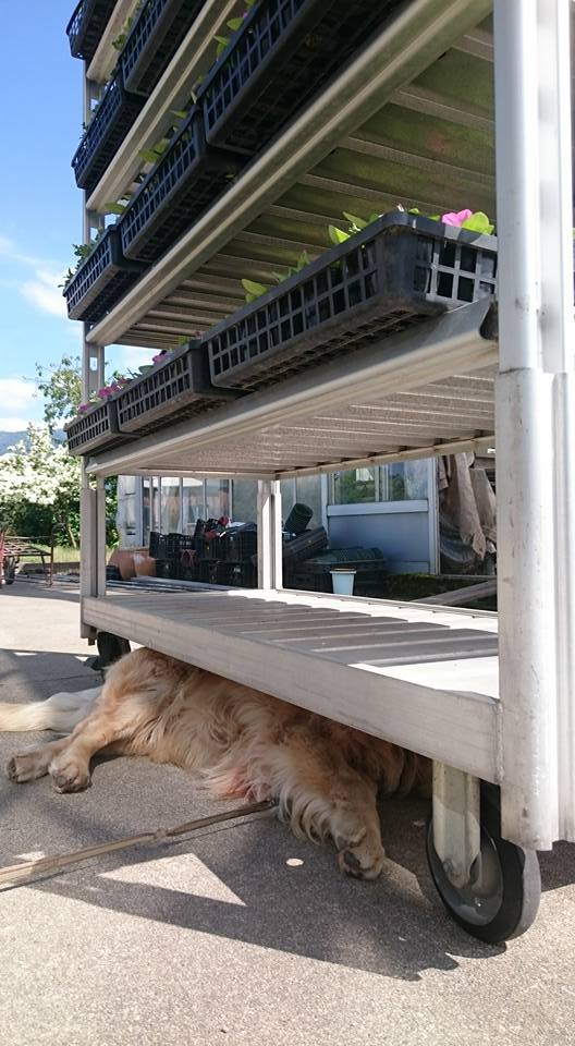 暑かったーーー！！