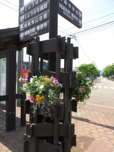 18557450_1340105162734213_6646060590718979004_n