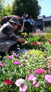 18579178_1339205566157506_394443162_n