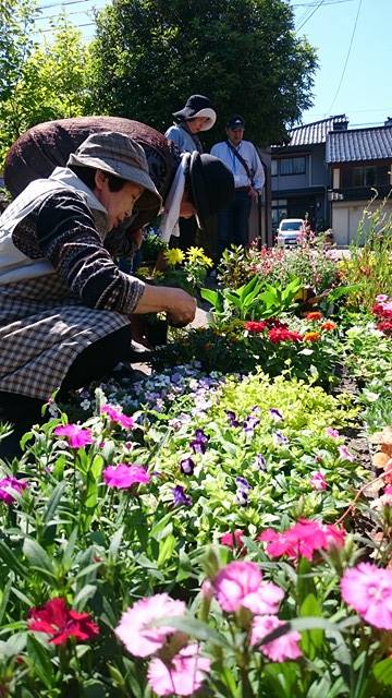 寄せ植え教室も着々と始まります！！