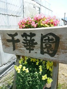 18582292_1202985416496979_204796111040360066_n