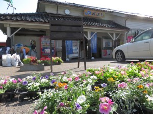 18589060_1340105039400892_6474454500187070404_o