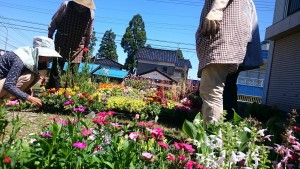 18596433_1339204906157572_49764538_o