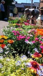 18601389_1339205222824207_592242149_n