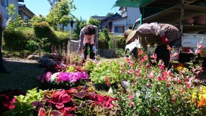 18618208_1339204852824244_896244402_o