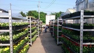 18618930_1340942172650512_2144767638_o