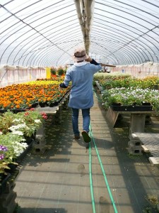 18622128_1202985646496956_2042291226059455401_n