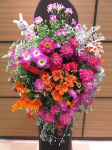 18622159_1342643445813718_234791258350852442_n